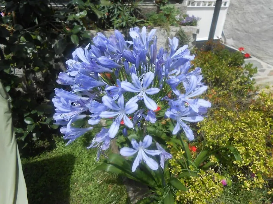 Casa Colori Villa Poggiridenti
